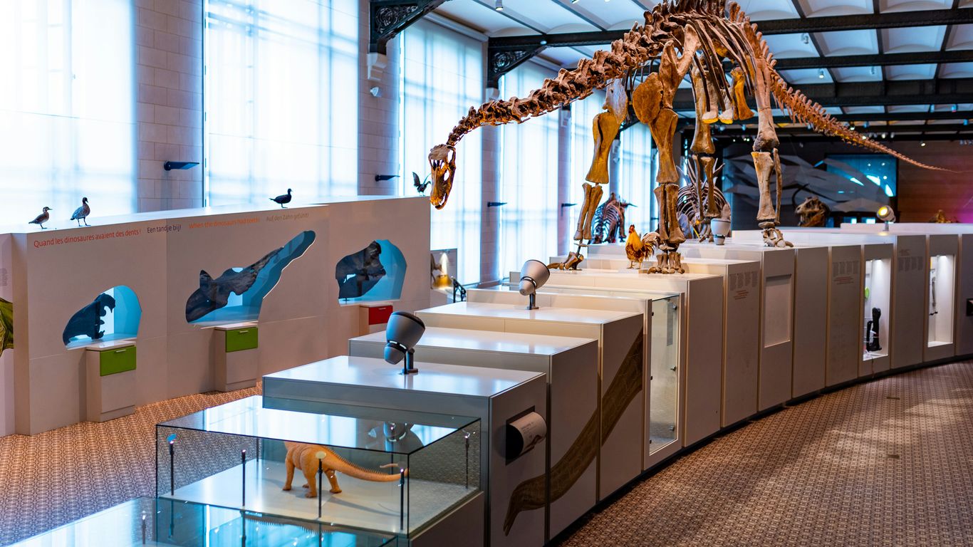 Interactive exhibits in the gallery
