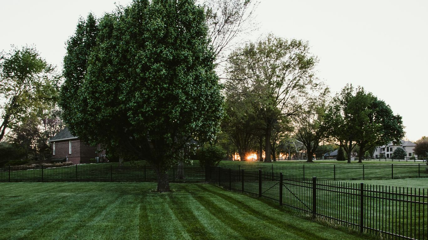 Haverhill backyard tree removal estimate