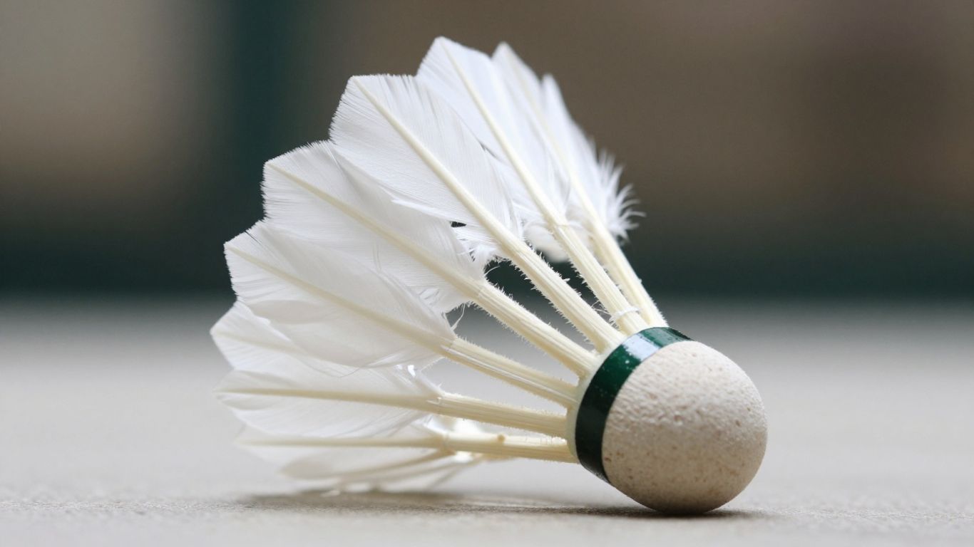 Feather badminton shuttlecock in flight.