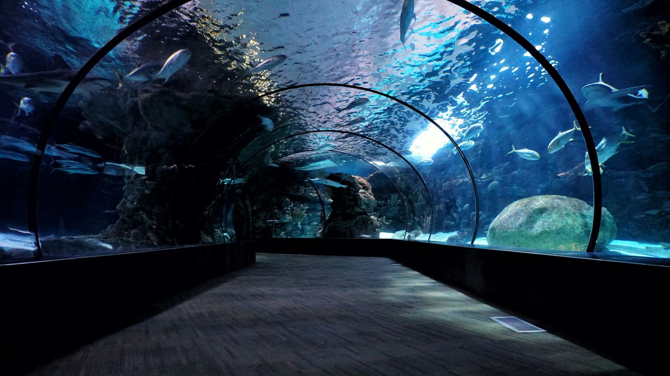 Close-up of clear aquarium water showcase