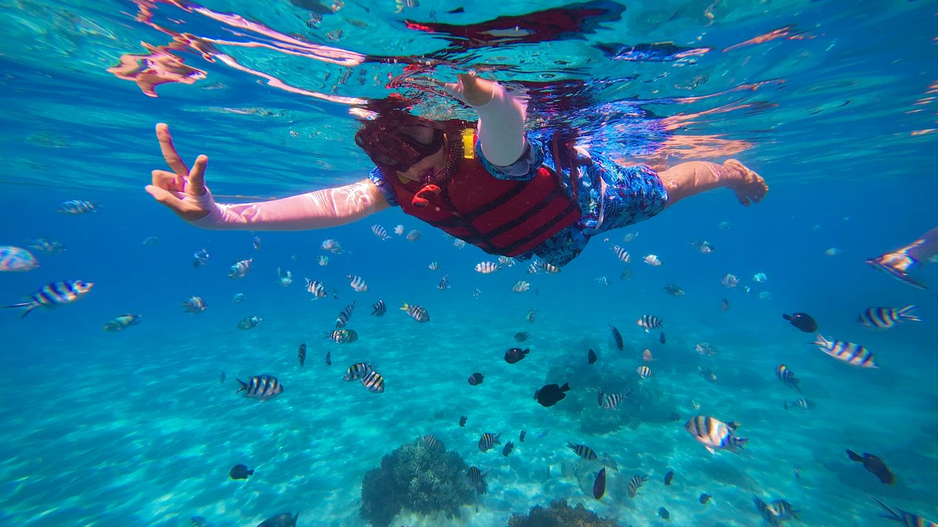 Snorkelling among tropical marine life