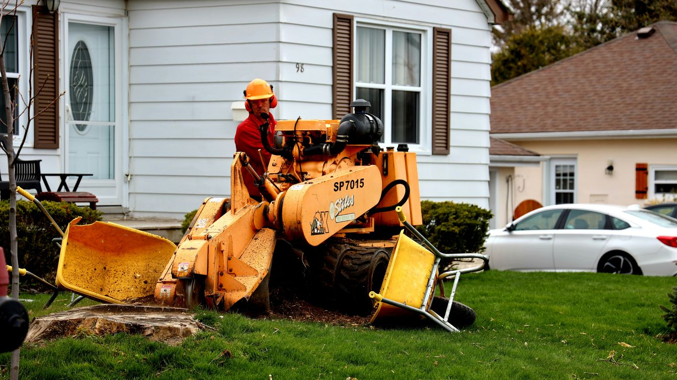Tree crew working near residential property