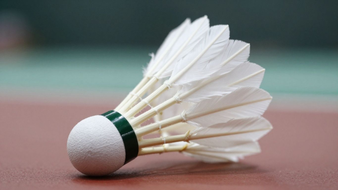 Badminton shuttlecock in flight