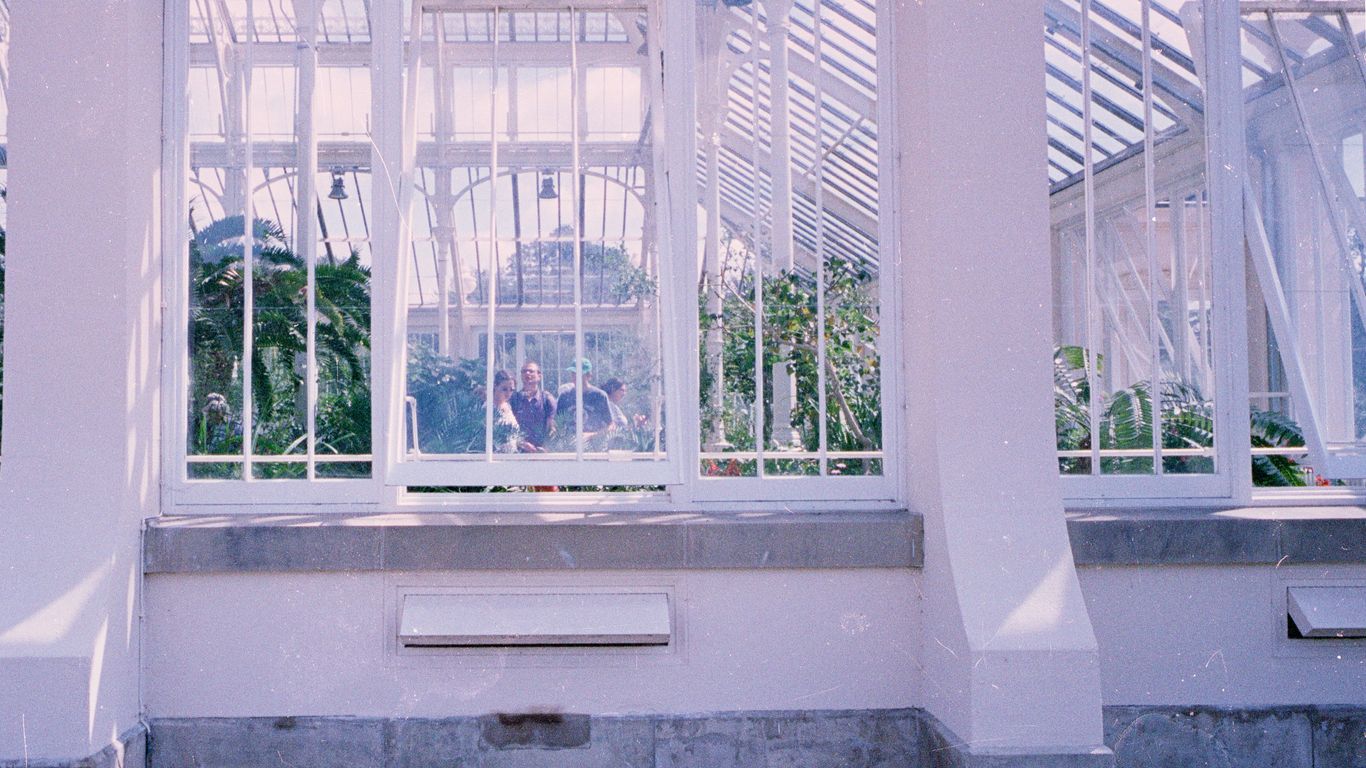 Greenhouse interior with white frames and plants.