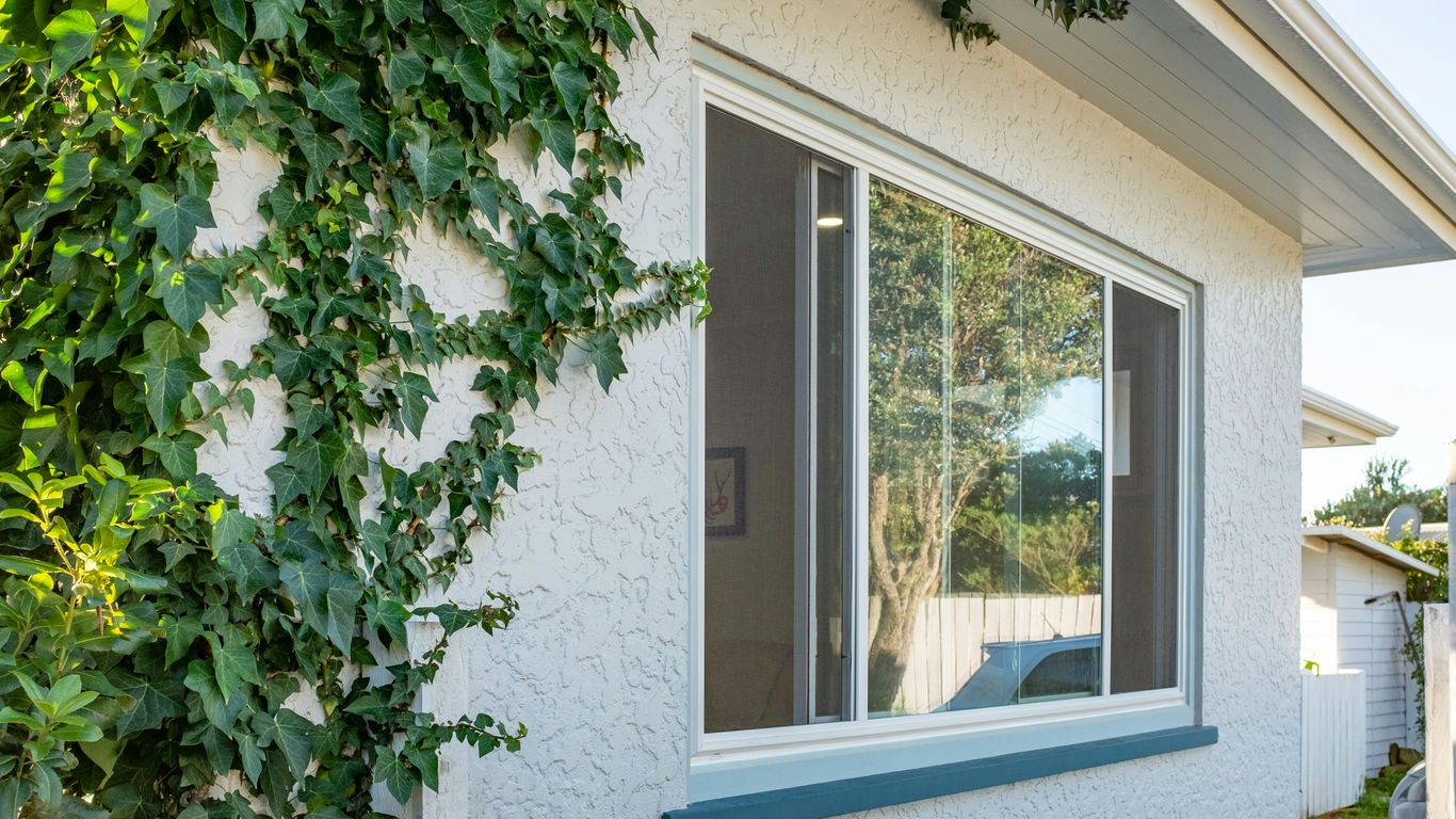 Ivy climbs a white wall near a window.