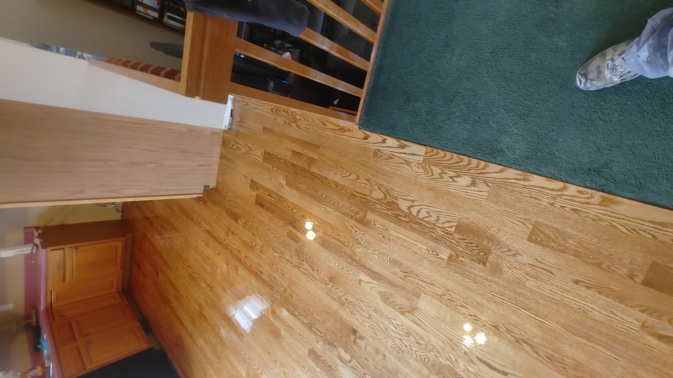 Shiny hardwood floor, green carpet, wooden kitchen cabinetry visible.