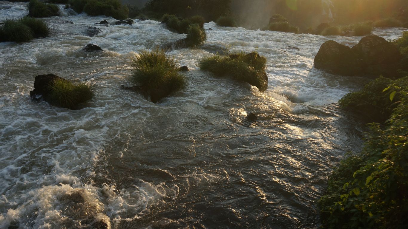 Sunlight shines on a fast-flowing river with rocks.