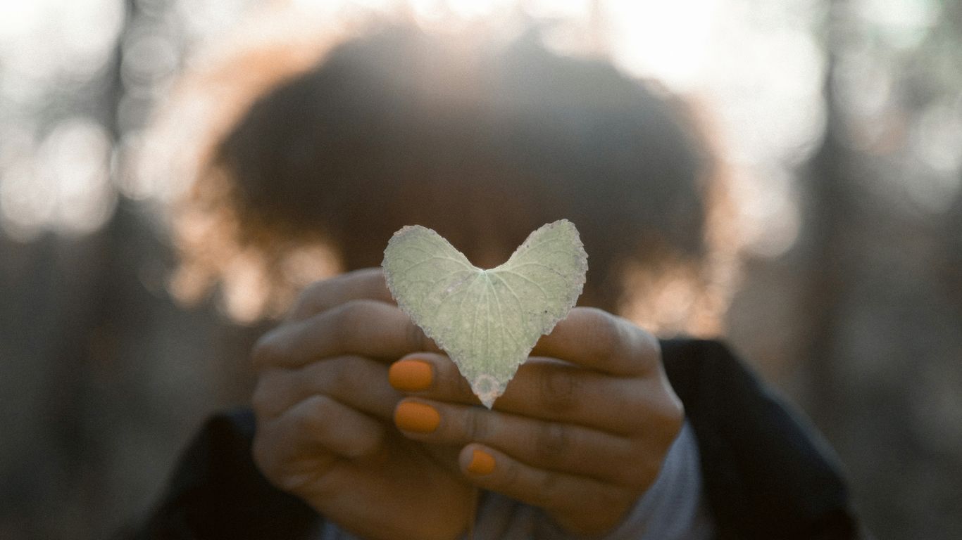person holding gray leaf