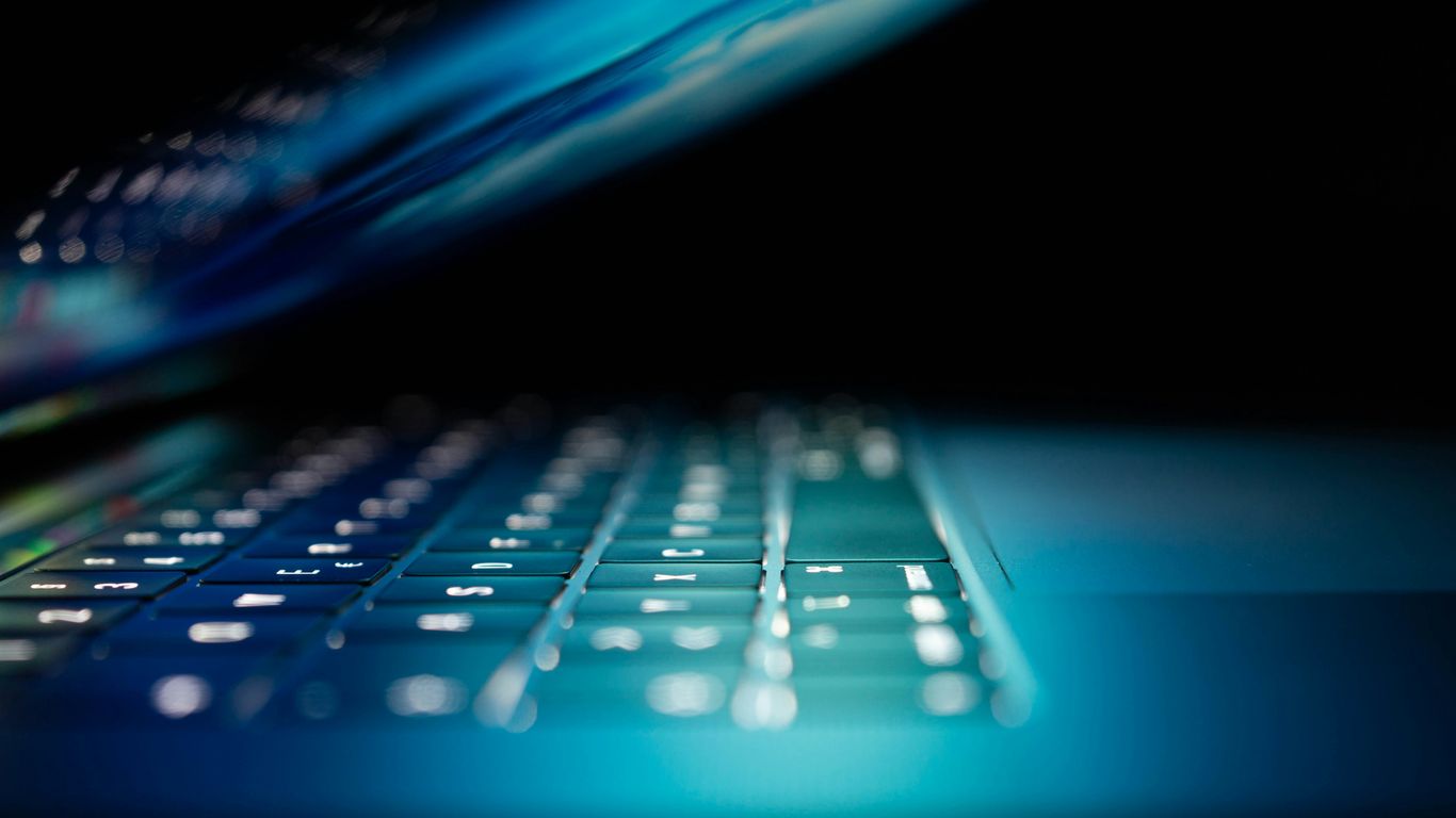 Forensic verification of digital identity fraud