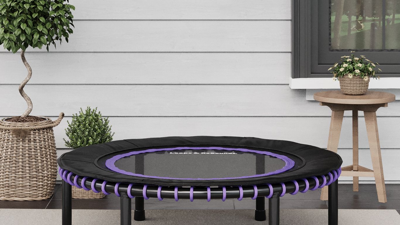 Small trampoline on patio, surrounded by plants and window.