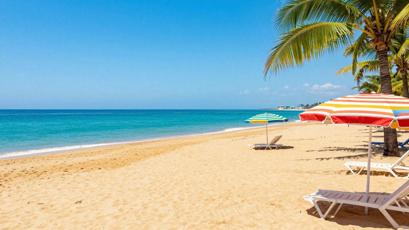 Summer beach with palm trees and umbrellas.