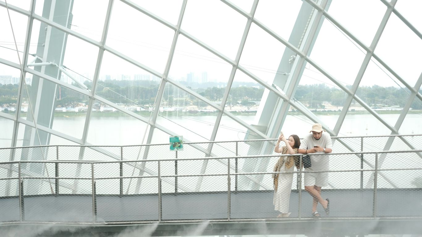 People stand and look out over a scenic view.