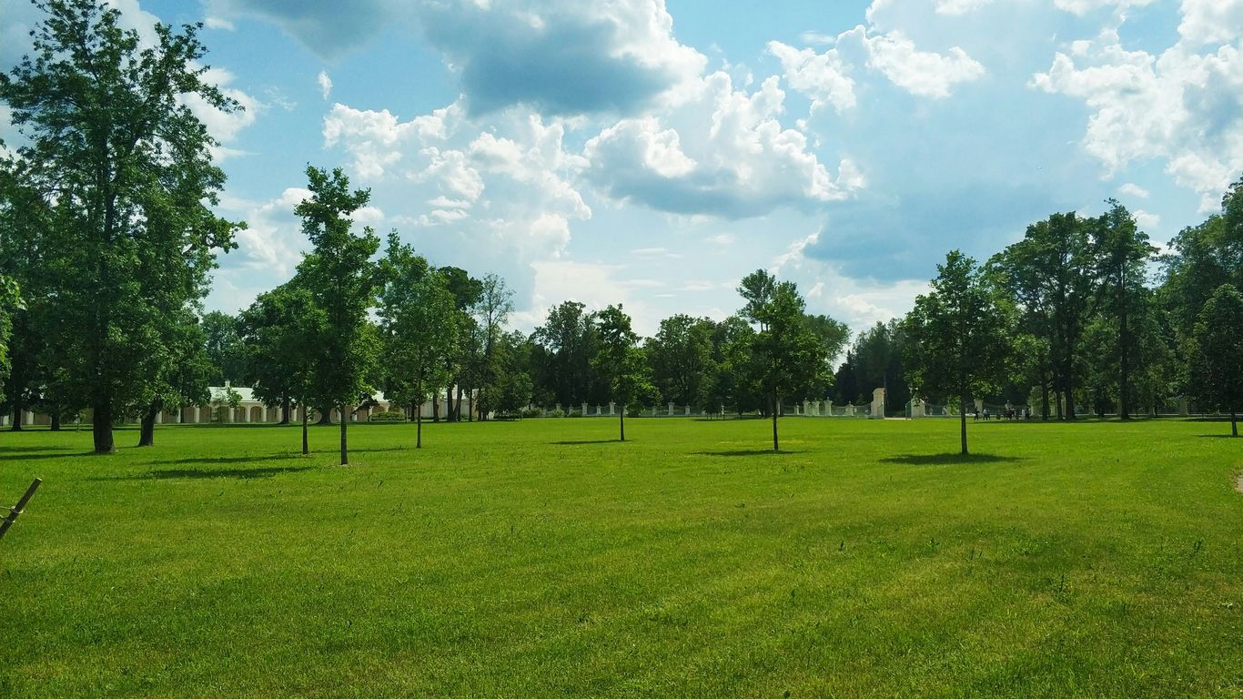 Visitors relaxing on the grass field