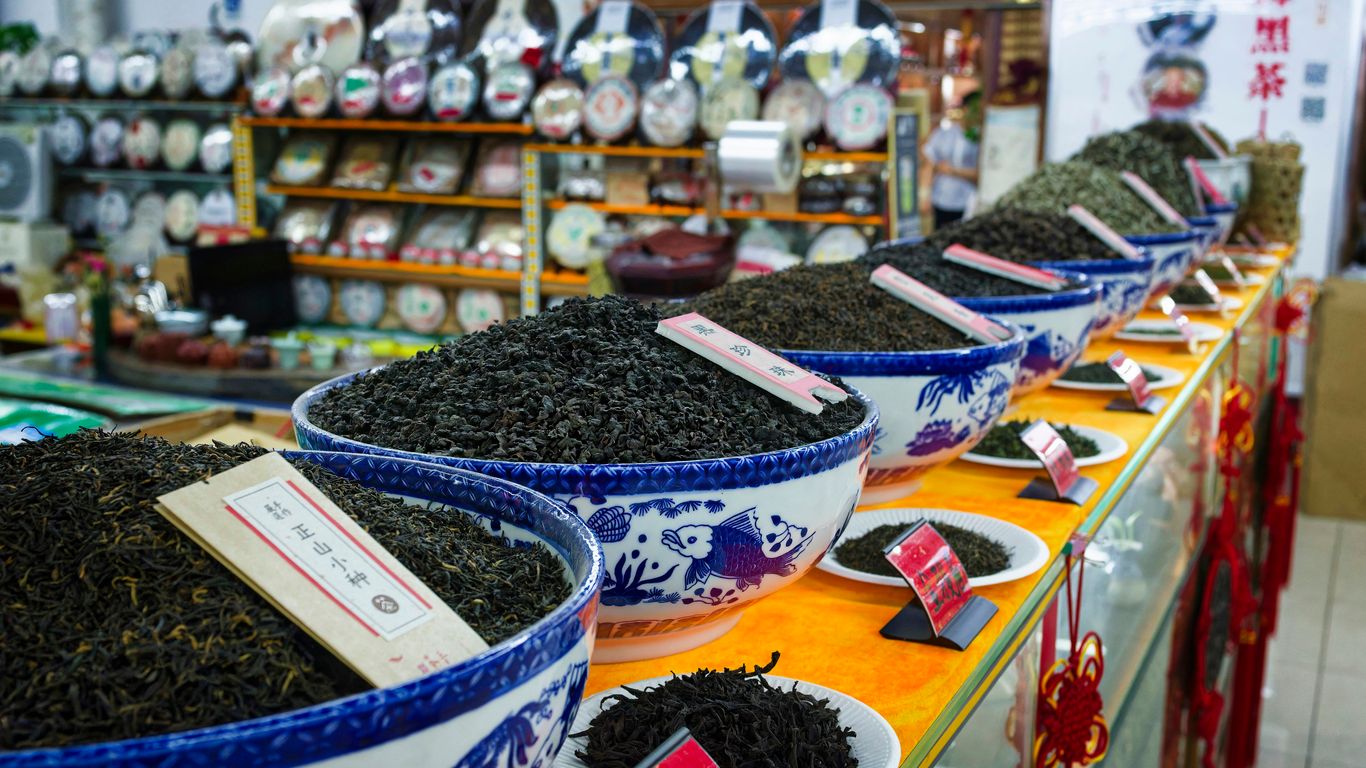 A store filled with lots of bowls filled with dirt