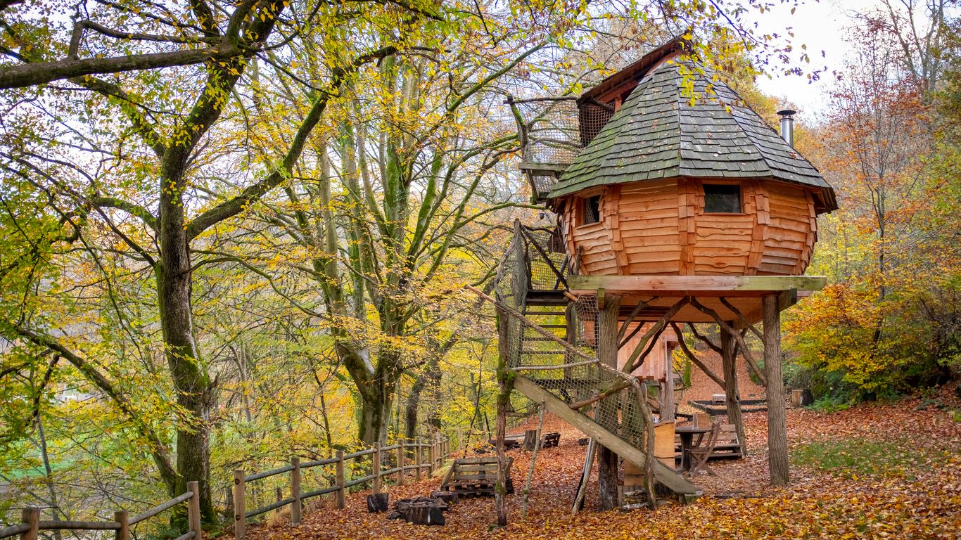 Large oak tree beside a Massachusetts home