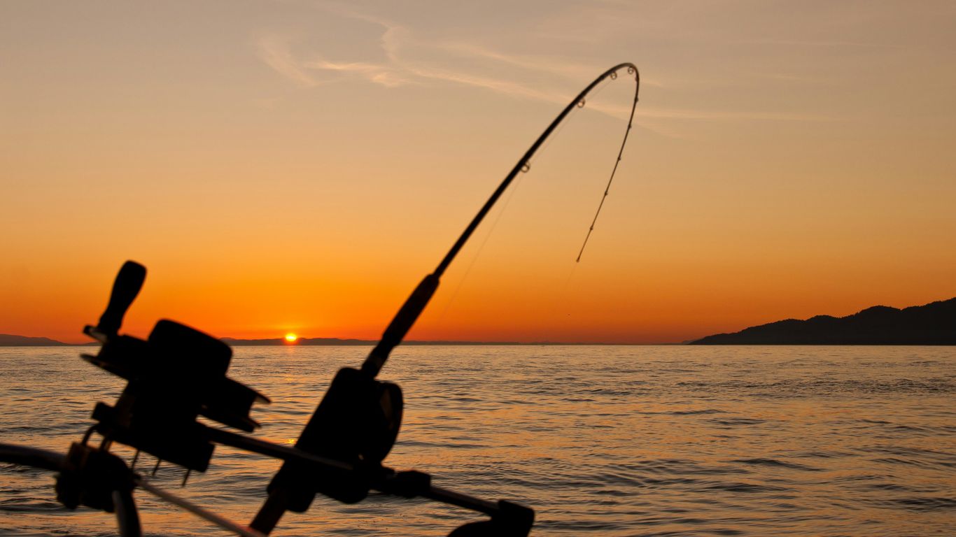 Fishing reels and rods for supplier review