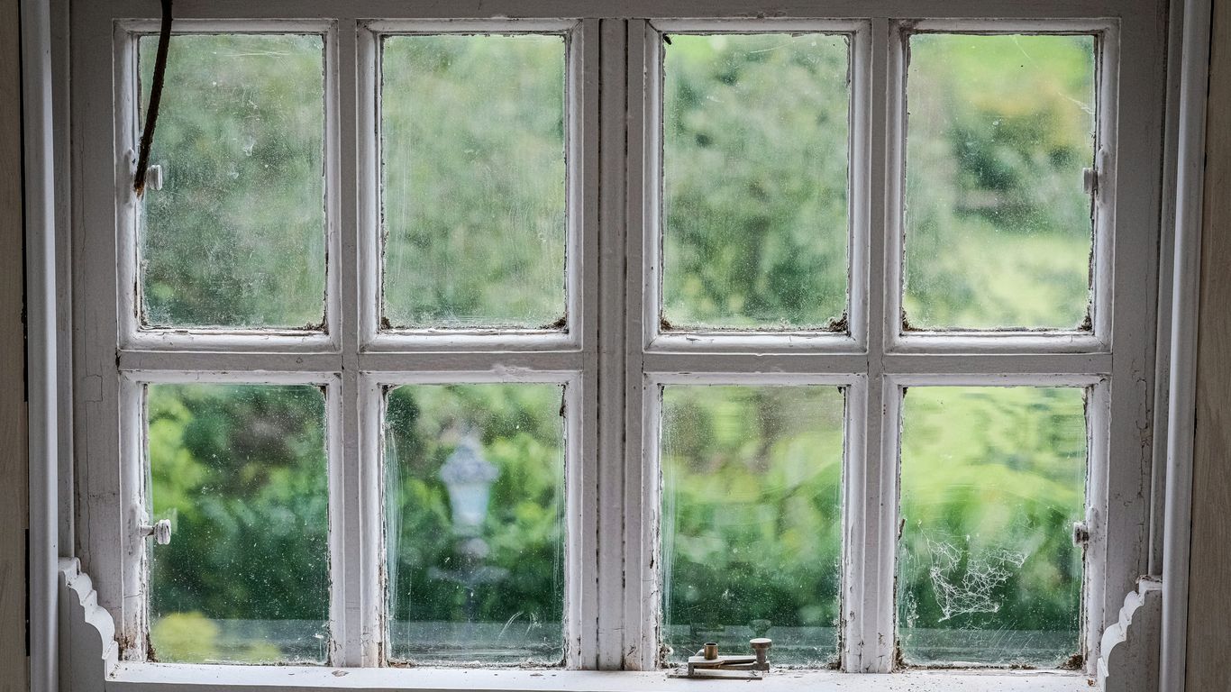 a window with a bird sitting on the window sill