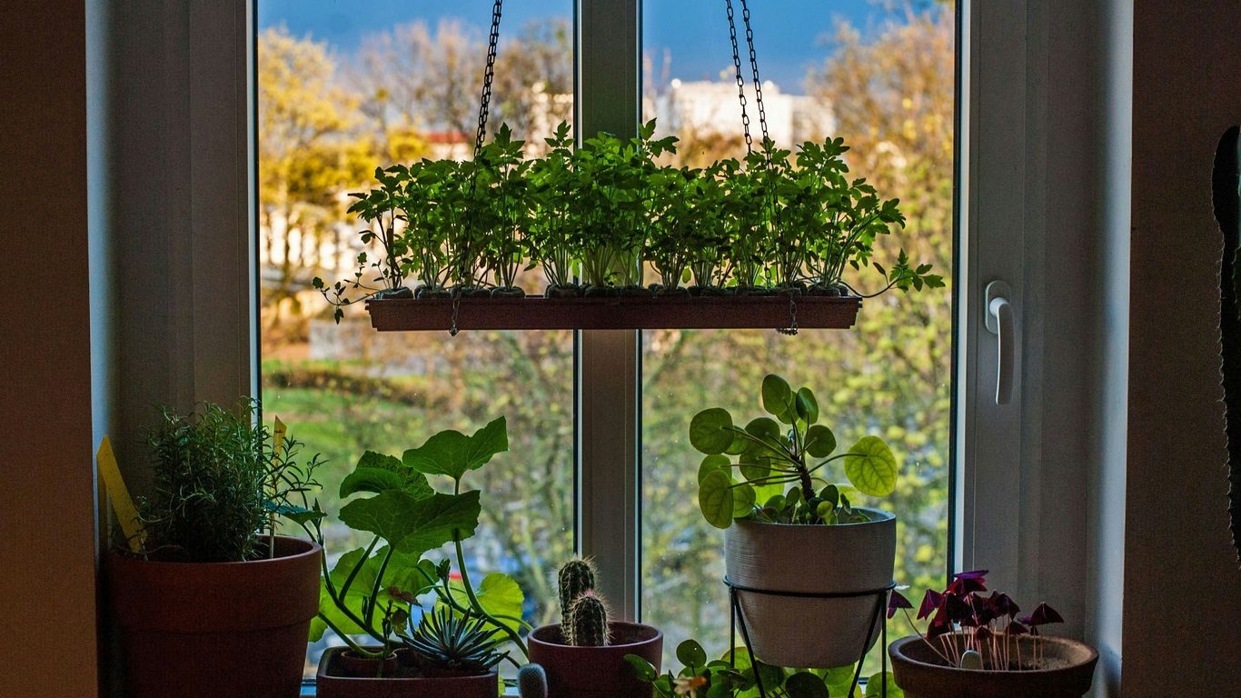 a person sitting in front of a window