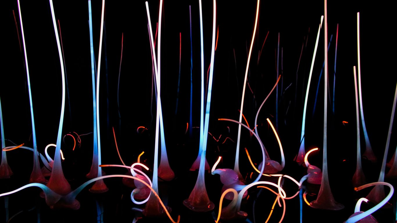 a bunch of sticks that are in the dark