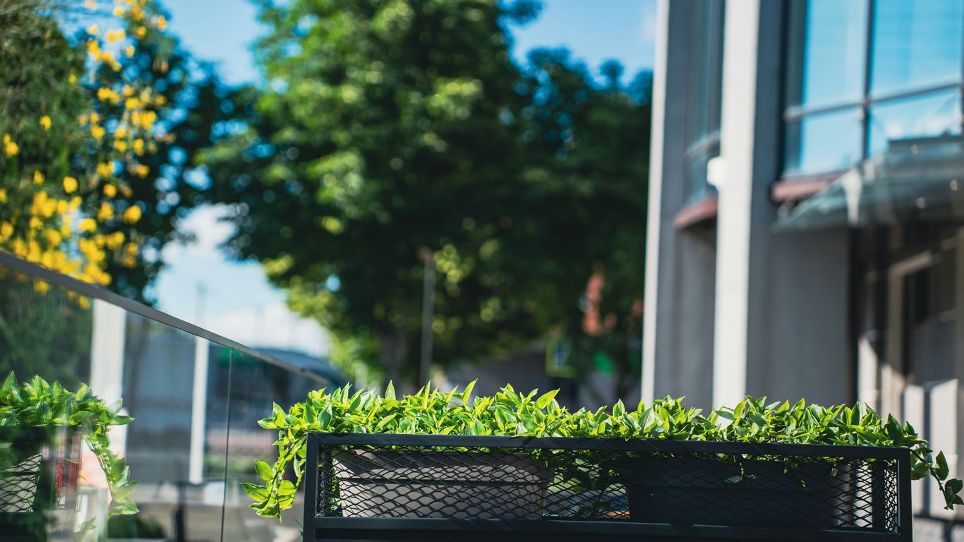 A peaceful and leafy outdoor rooftop setting