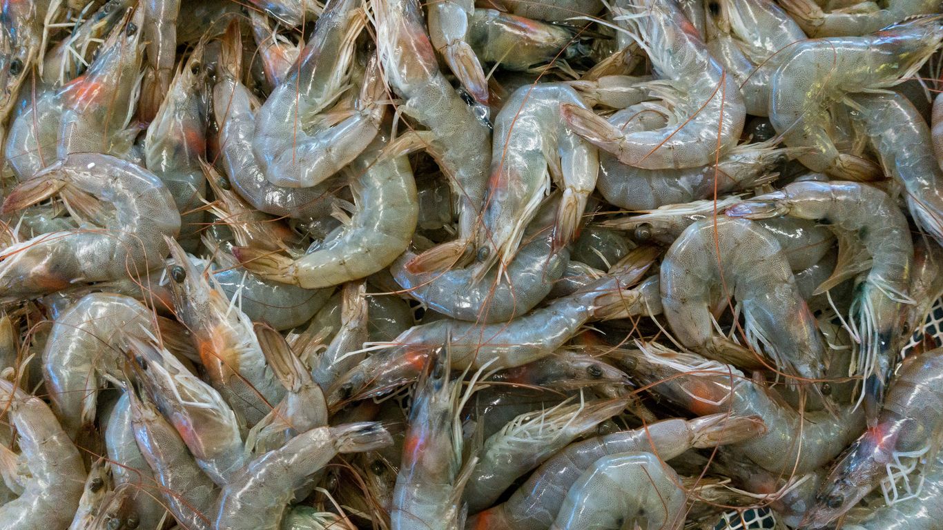 Fresh seafood being prepared for the wok