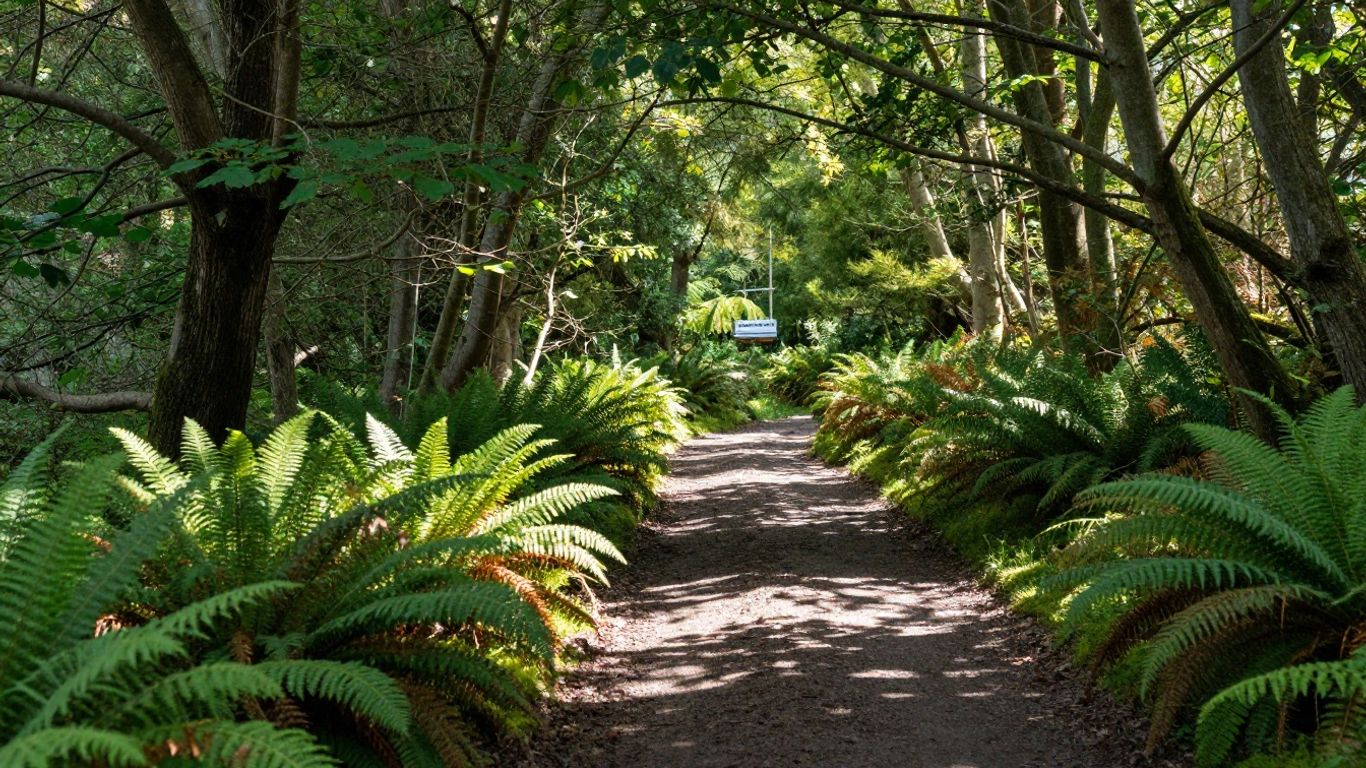 Woodland path in Buchan Country Park, Crawley