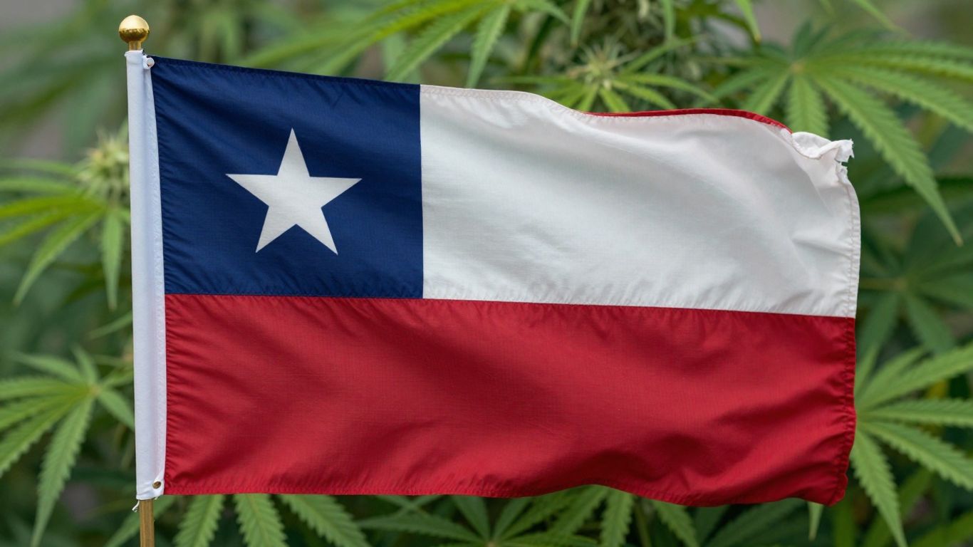 Texas flag with cannabis leaves.