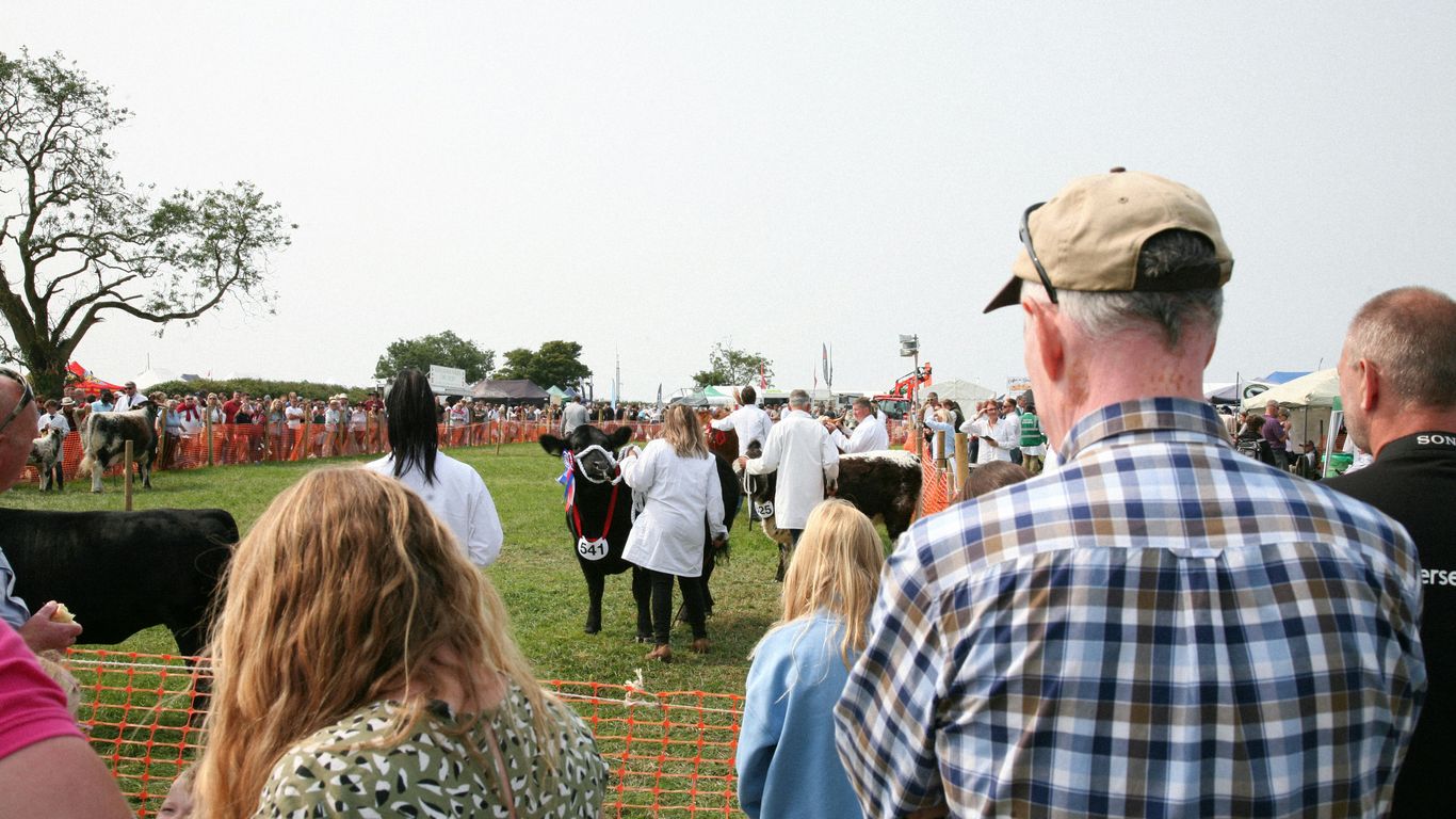 A group of people standing around a cow