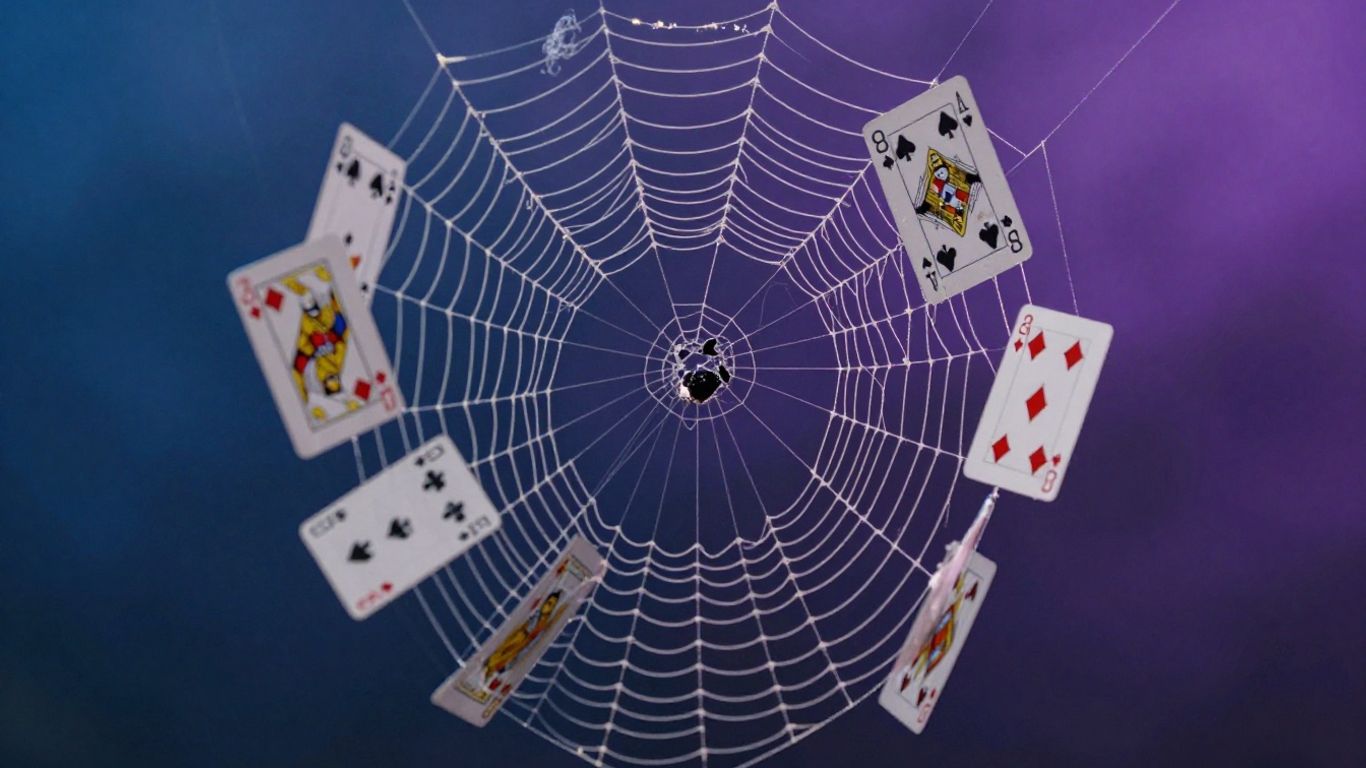 Spider web with playing cards woven into it.