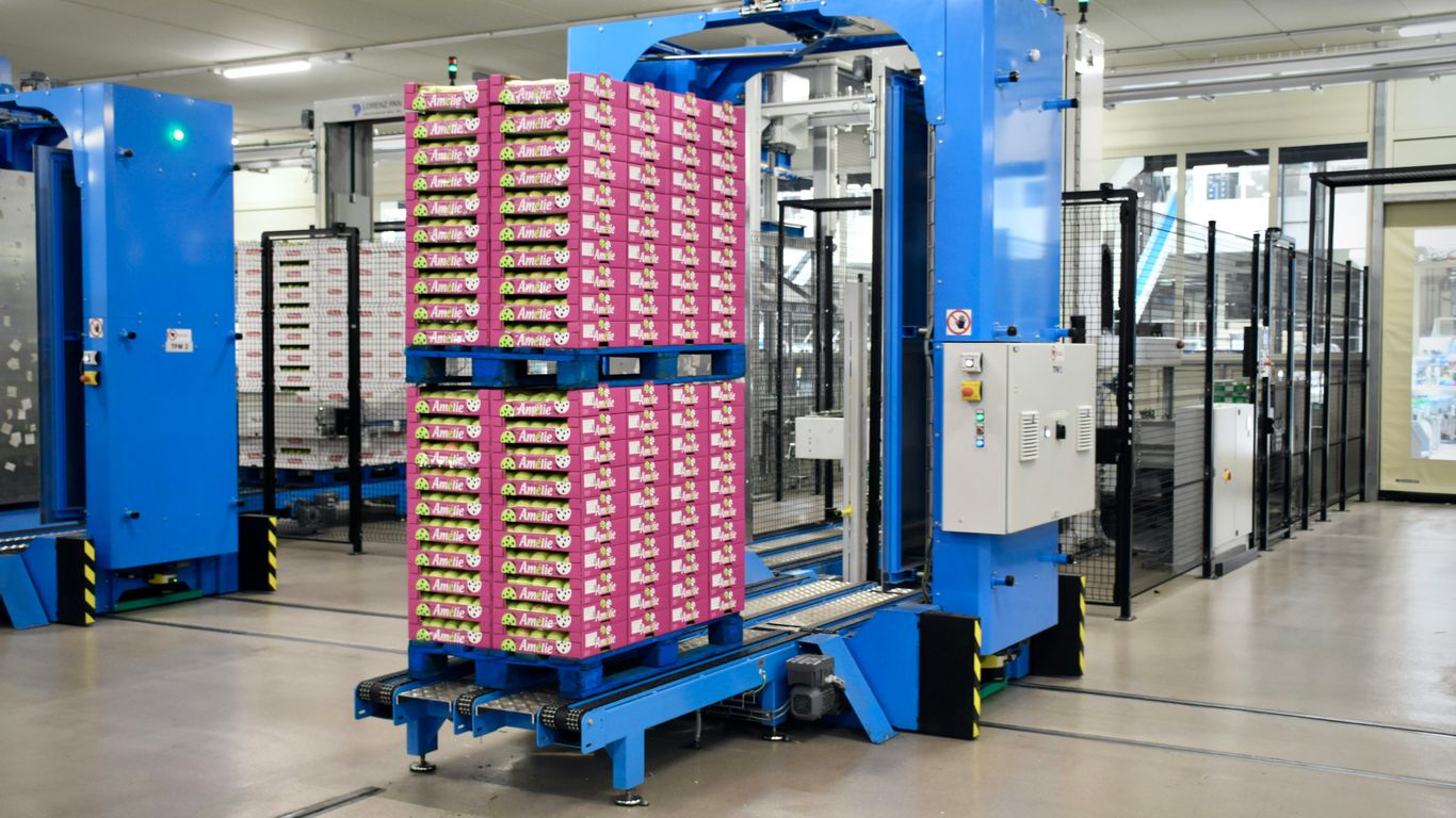 Protected electronics pallet in warehouse