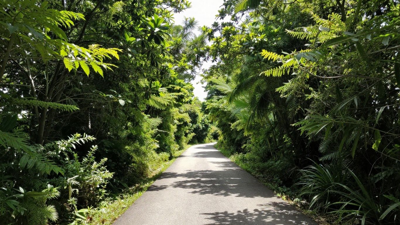 A clear path towards a bright, sunlit horizon.