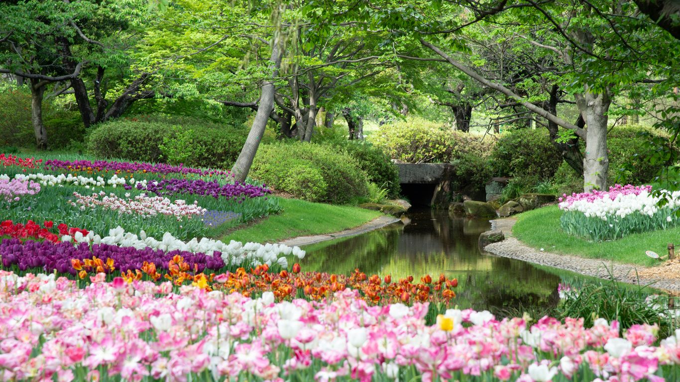 A view of the lush gardens within the park