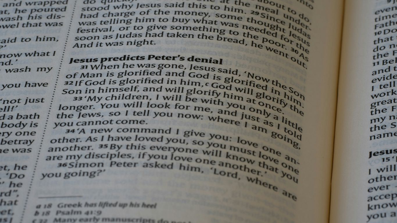 A close up of an open book with text