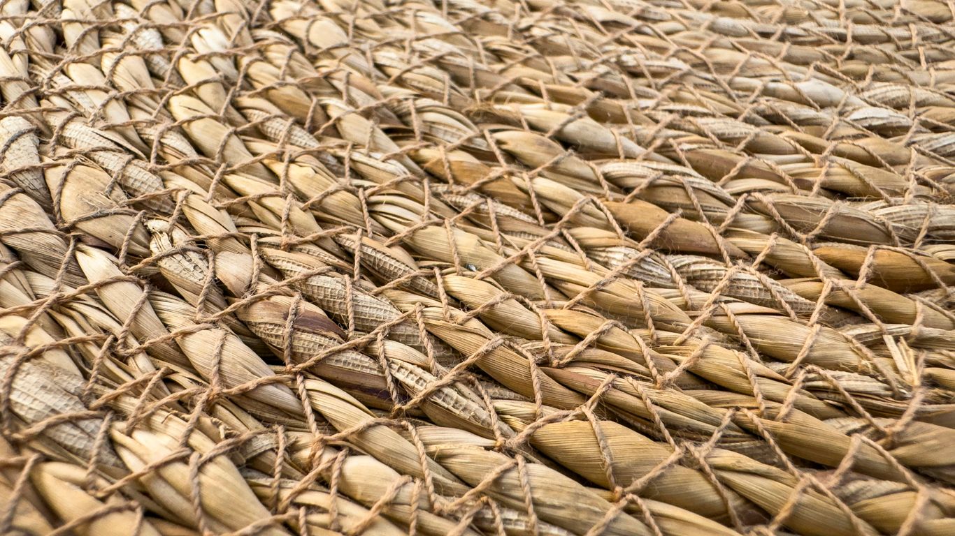 Yoga mats arranged in natural light