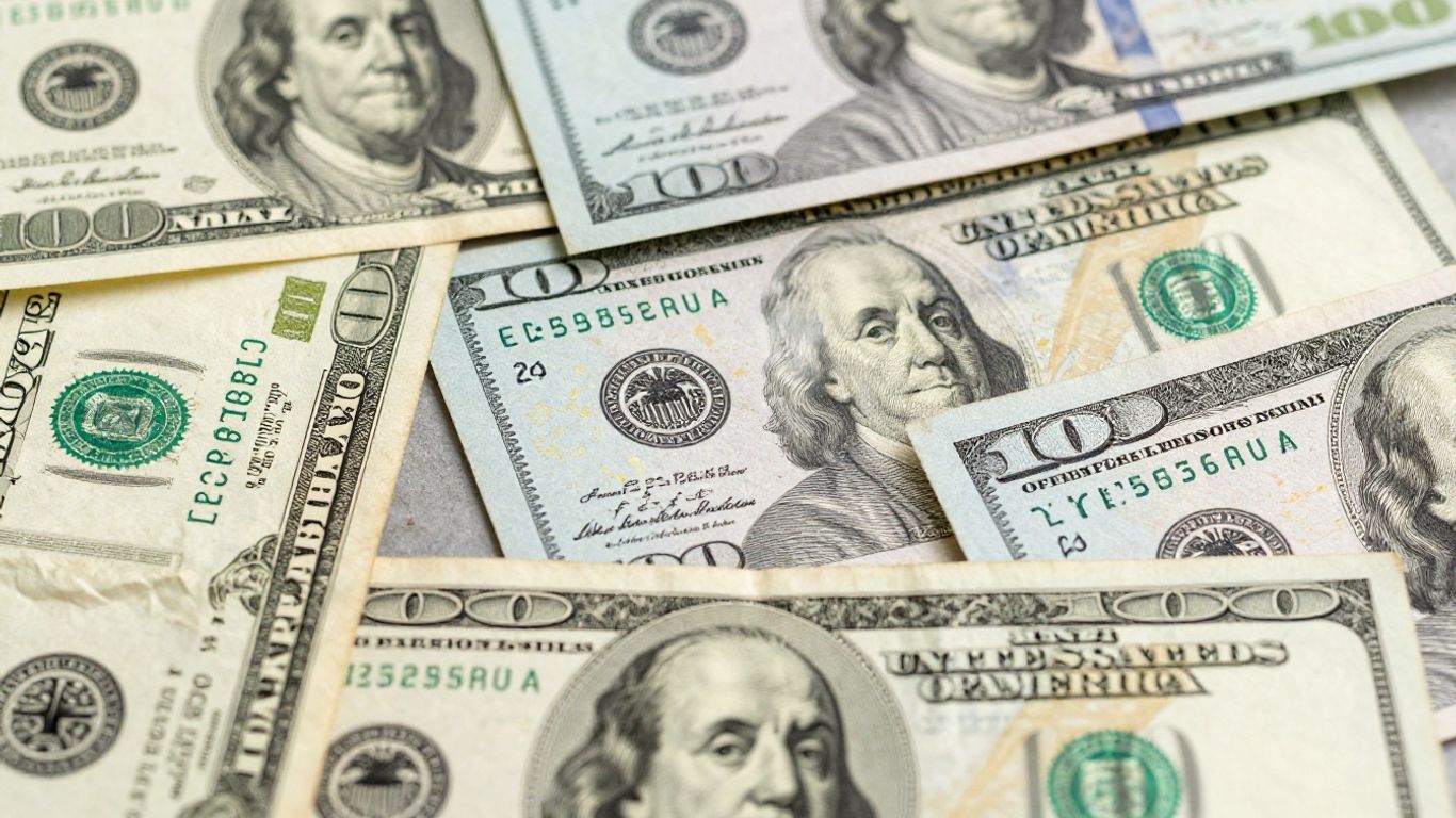 US dollar bills in various conditions.
