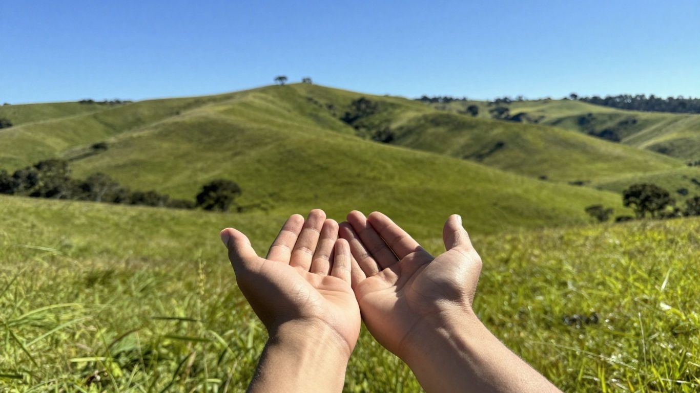 Queensland landscape with hands receiving light