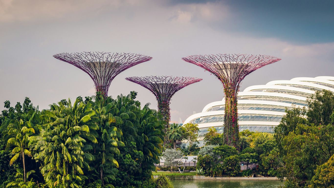 Old Singapore wetland landscape before redevelopment