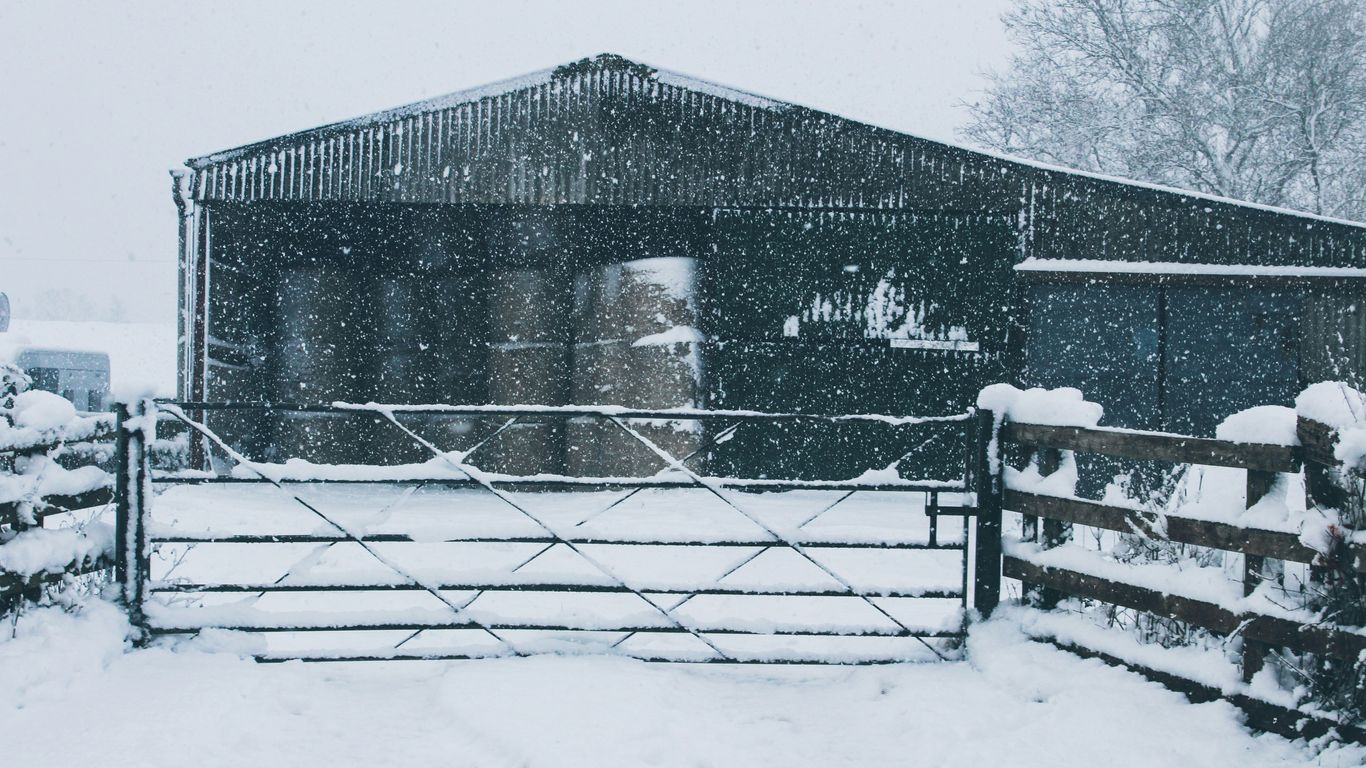 snow-covered shed