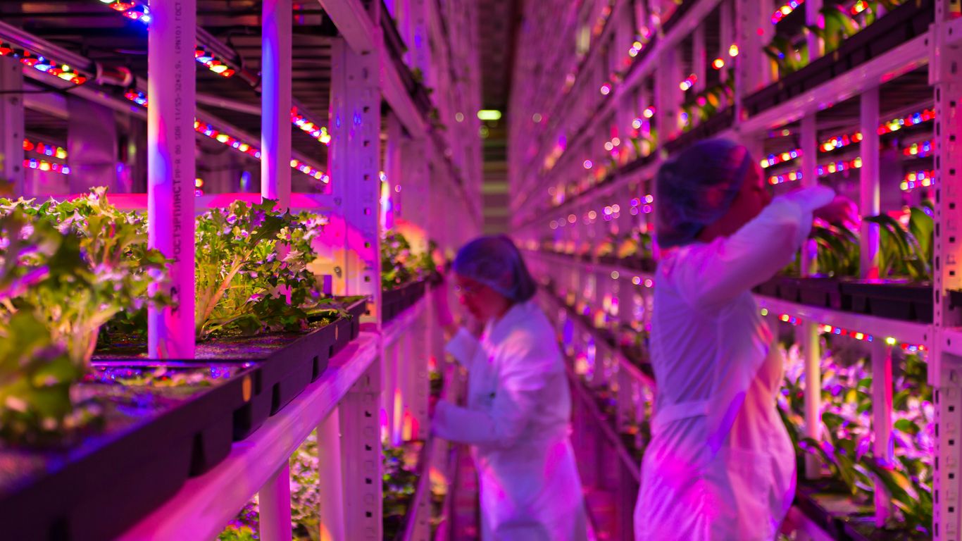 woman in pink dress standing beside man in white dress shirt