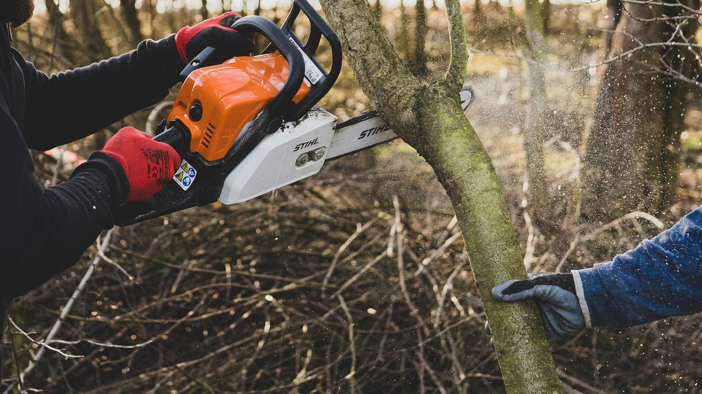 Tree crew preparing equipment for a job