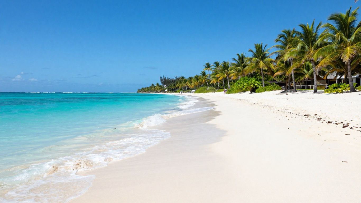 Tropical beach with palm trees and clear blue water