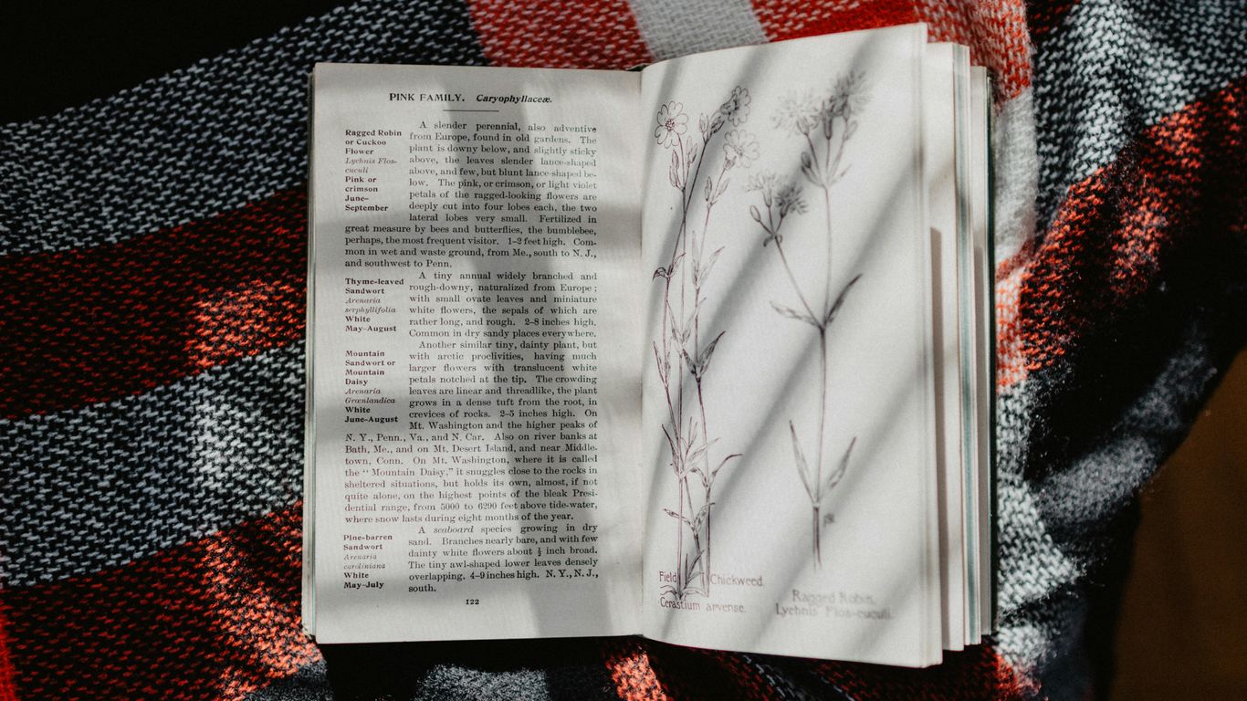 white and black labeled book on white, red, and black plaid textile