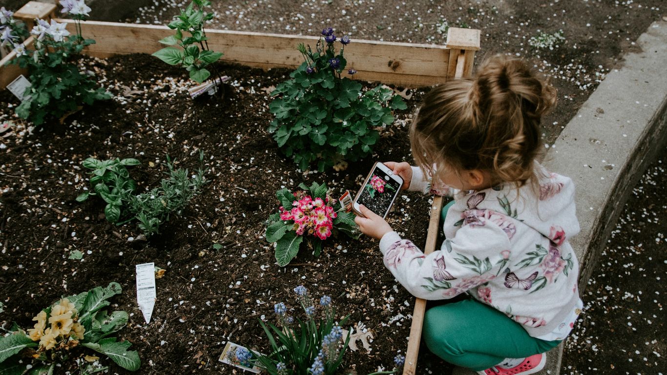 Group of children investigating plants outside