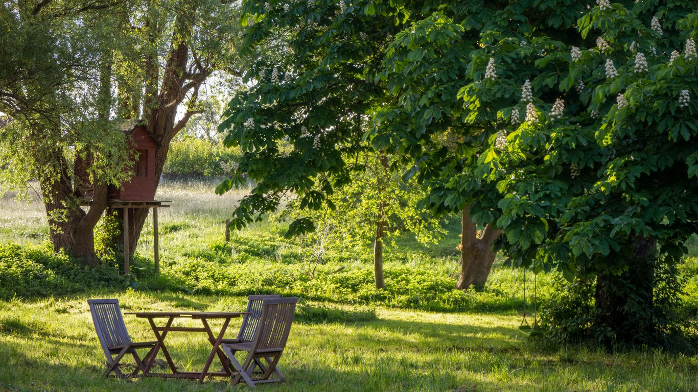 A quiet corner of the green gardens