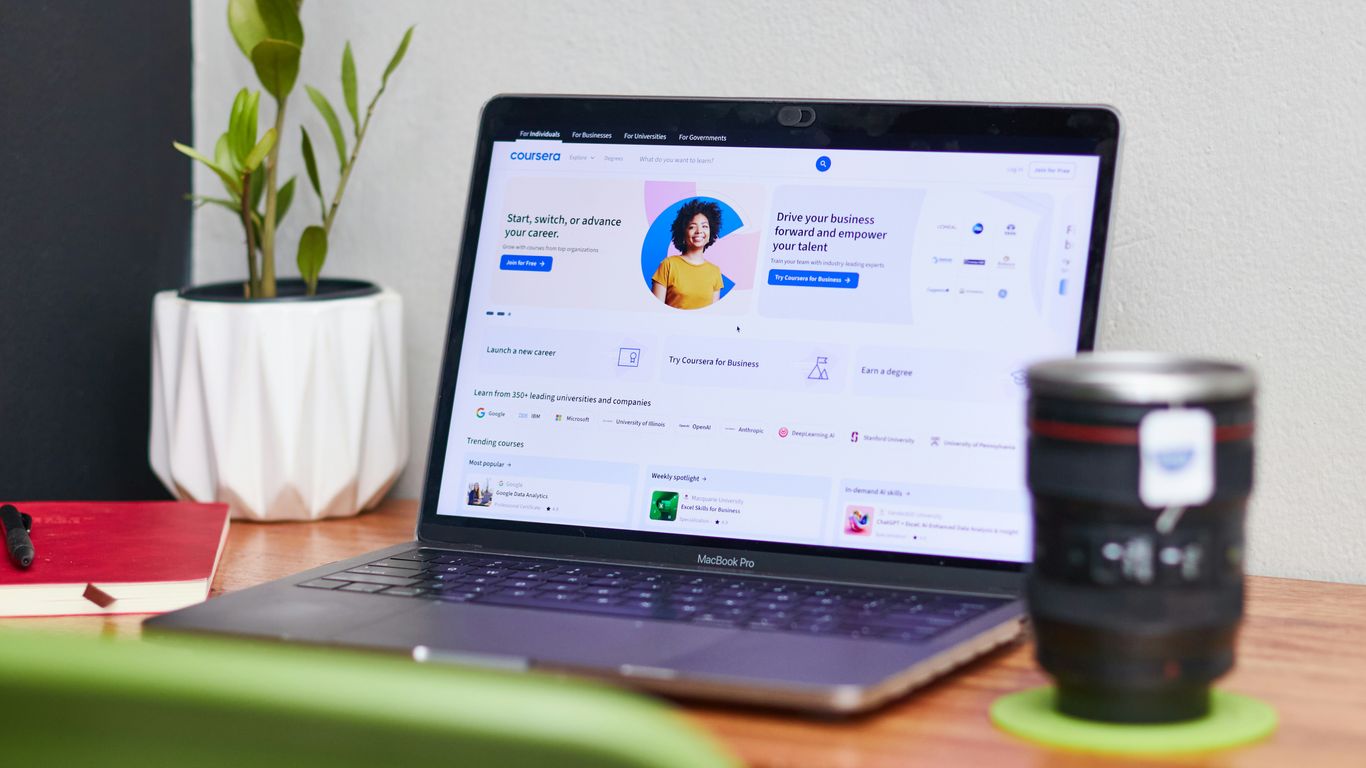 Laptop displaying a profile page with a plant.