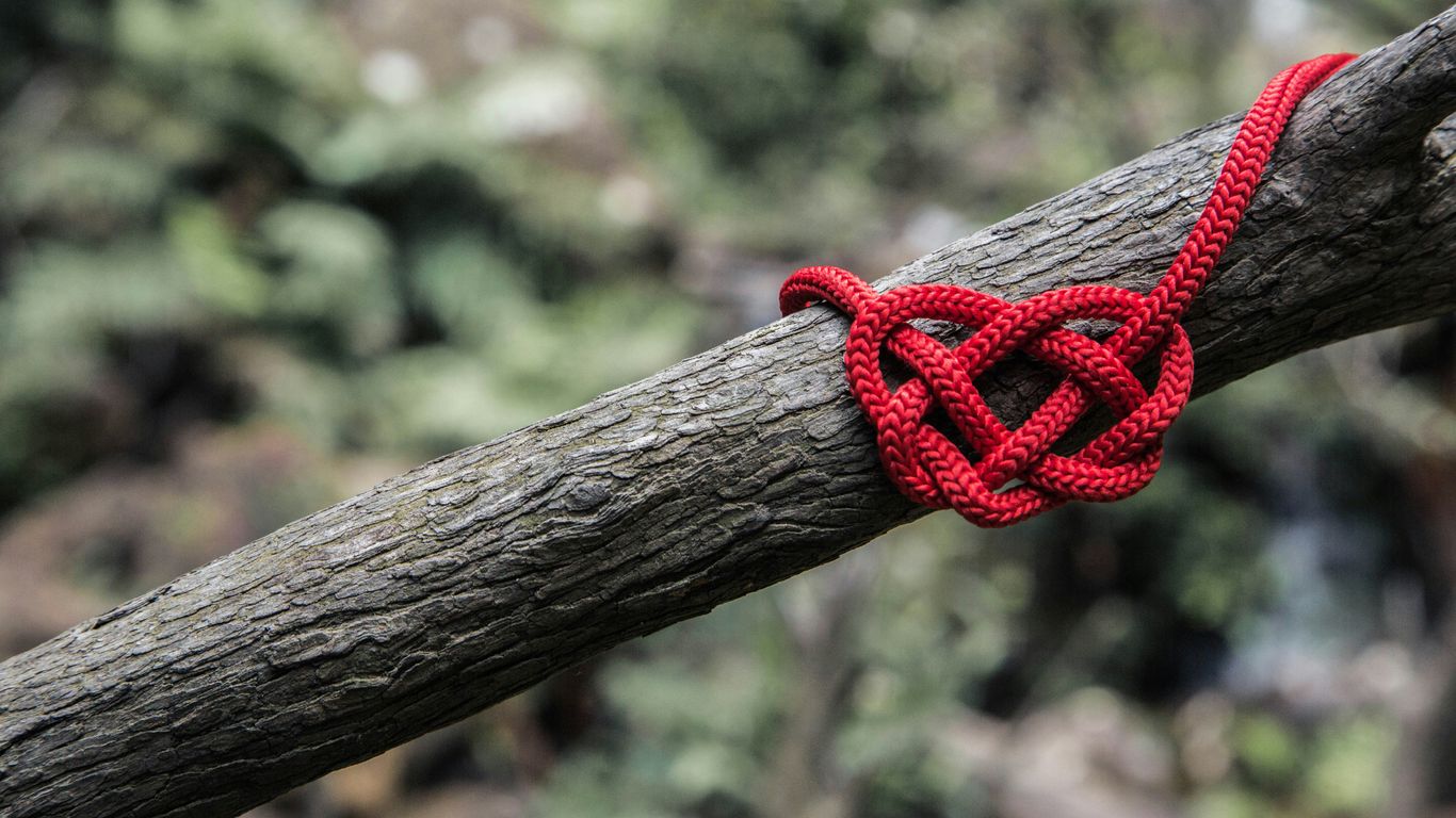 red rope on three branch