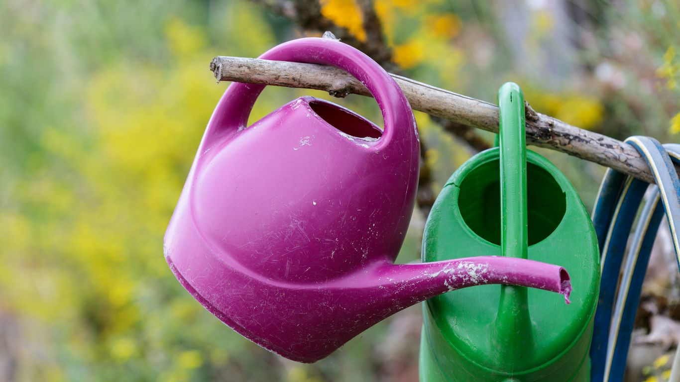 a watering can and a watering hose hanging from a tree branch