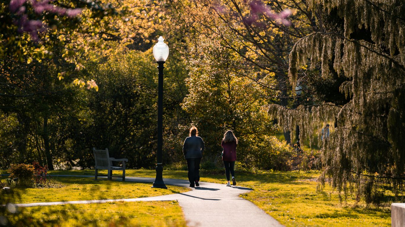 People walking along the paved park paths