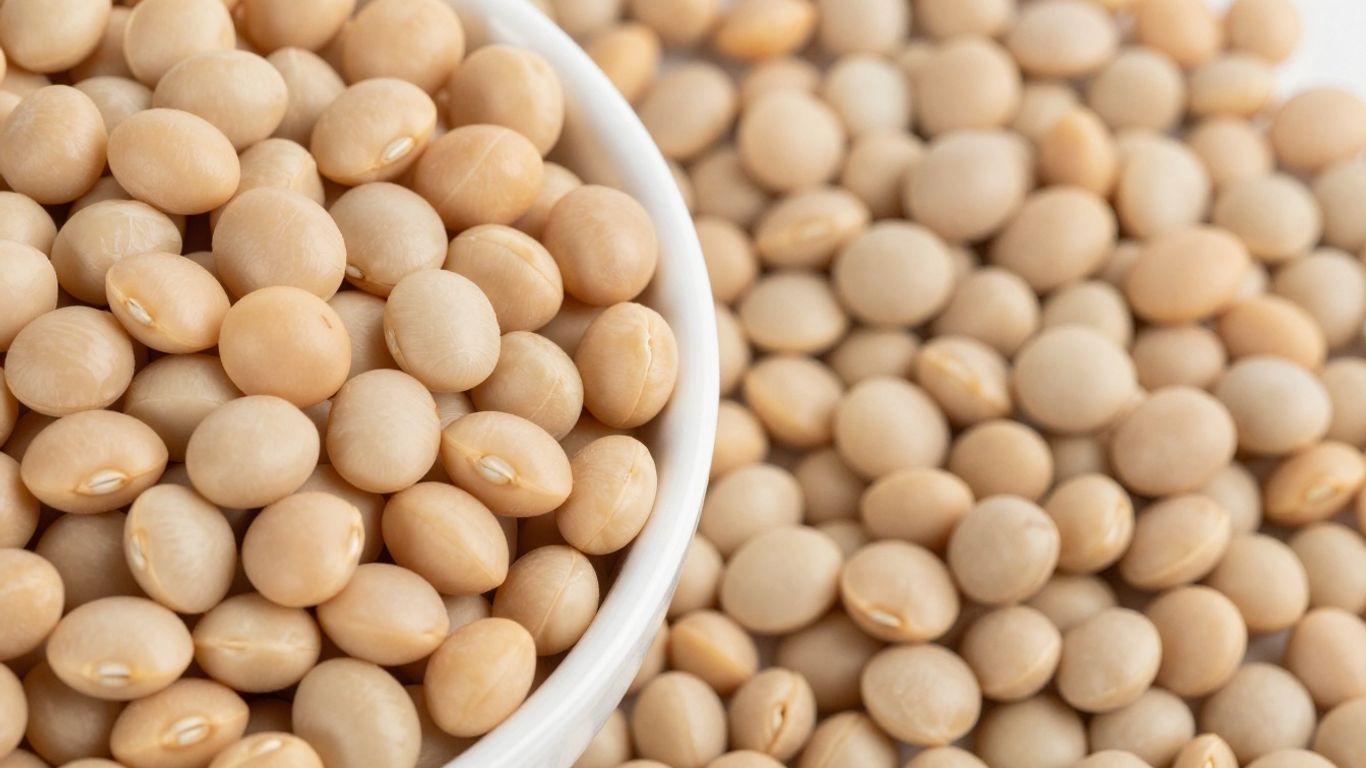 Dried and soaked beans in bowls.
