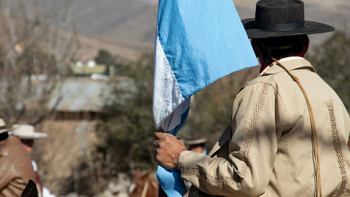 a person holding a flag